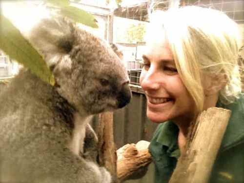 Nose to nose with a Koala - ahhhhh, one of my life's most cherished moments <3